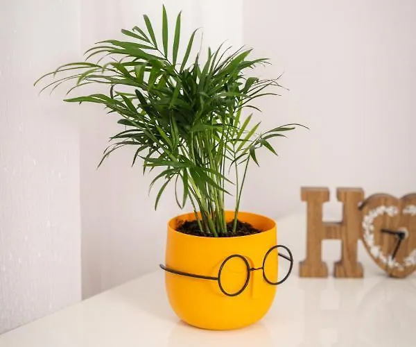 Blau Ultracentral Timişoara